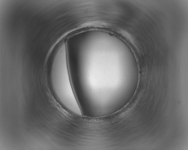 X0000070400923200606090926