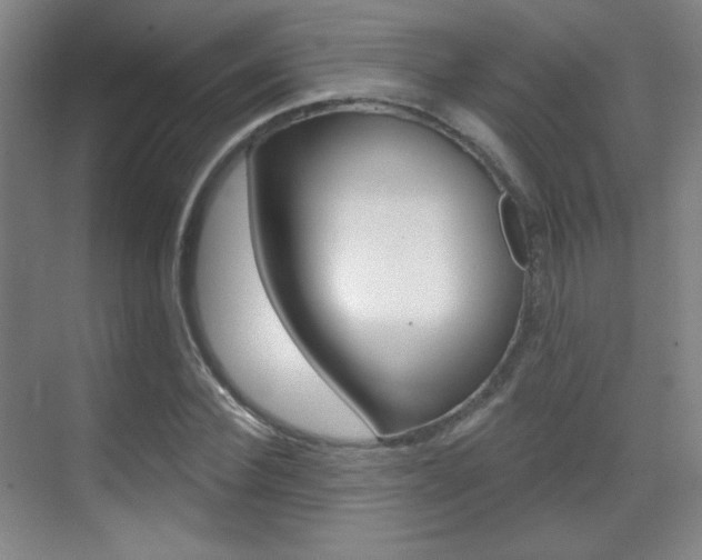 X0000070400924200606090926