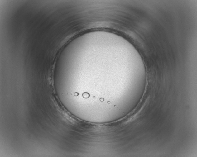 X0000070400929200606090926