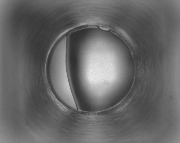 X0000070400932200606090926