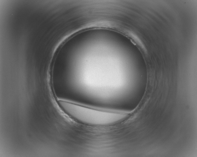 X0000070400944200606090926