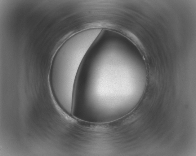 X0000070400946200606090926