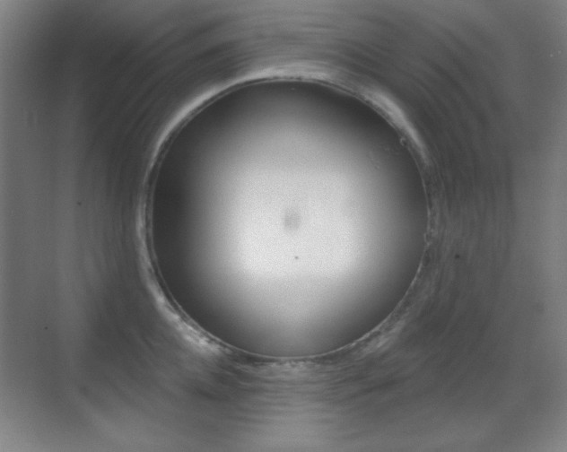 X0000070400952200606090926
