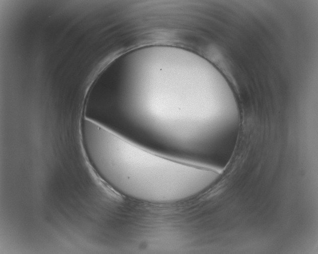 X0000070400954200606090926