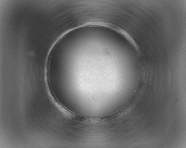 X0000070400955200606090926