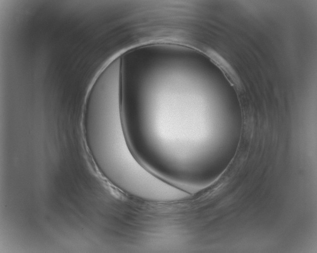 X0000070400956200606090926