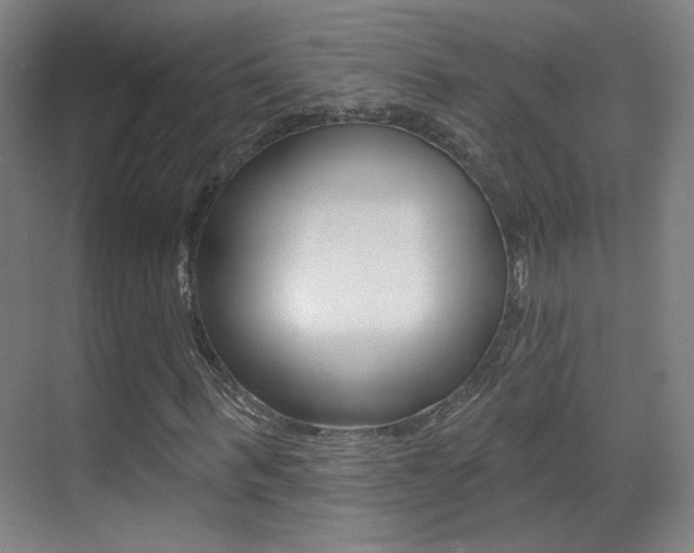 X0000070400963200606090925