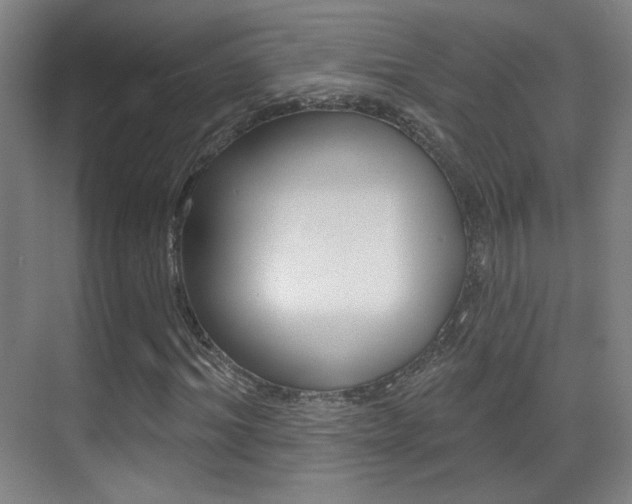 X0000070400964200606090925