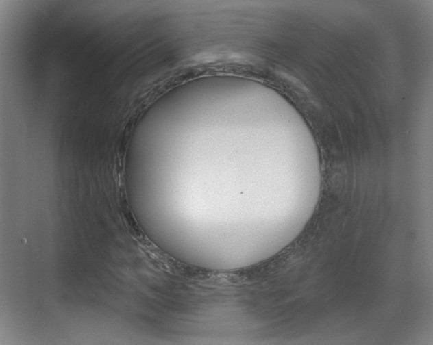 X0000070400966200606090925