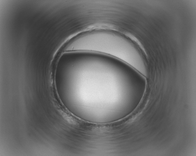 X0000070400973200606090925