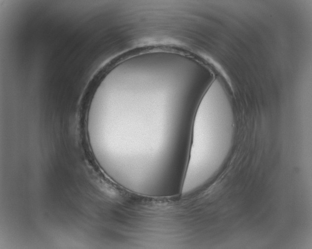 X0000070400975200606090925