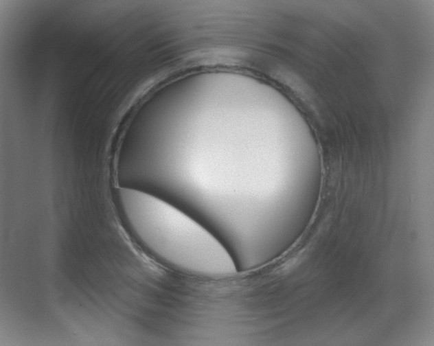 X0000070400978200606090925