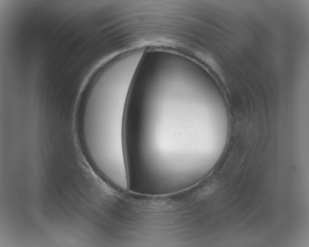 X0000070400979200606090925