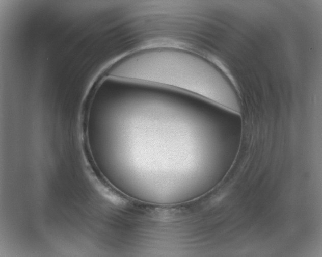 X0000070400987200606090925