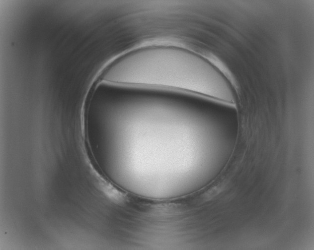 X0000070400988200606090925
