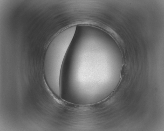X0000070400993200606090925