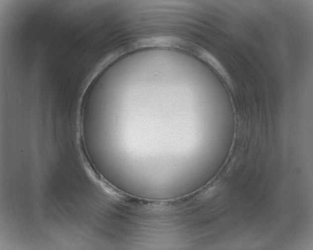 X0000070400994200606090925