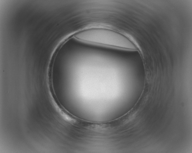 X0000070400995200606090925