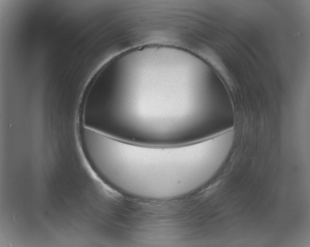 X0000070400999200606090925