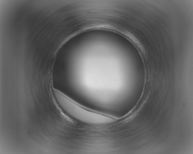 X0000070401001200606090925