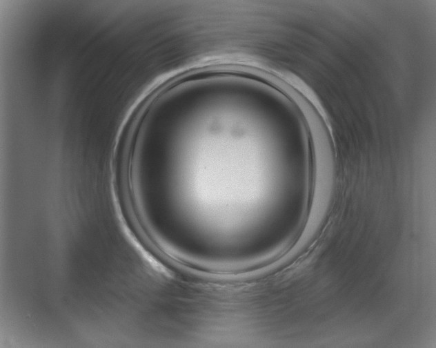 X0000070401005200606090925