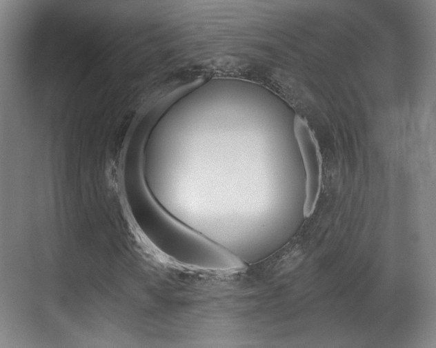 X0000070401010200606090924