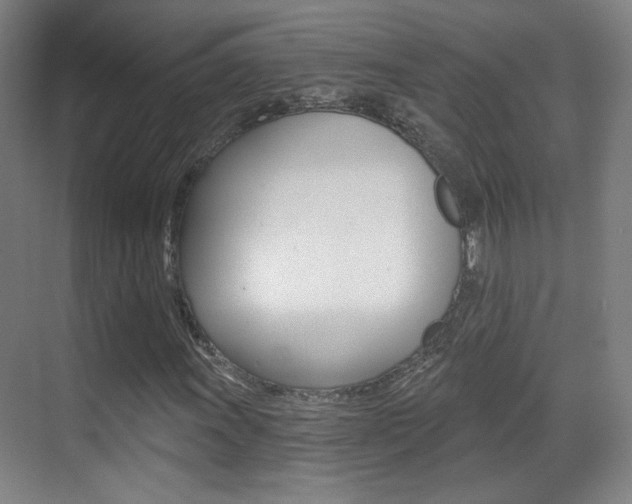 X0000070401011200606090924