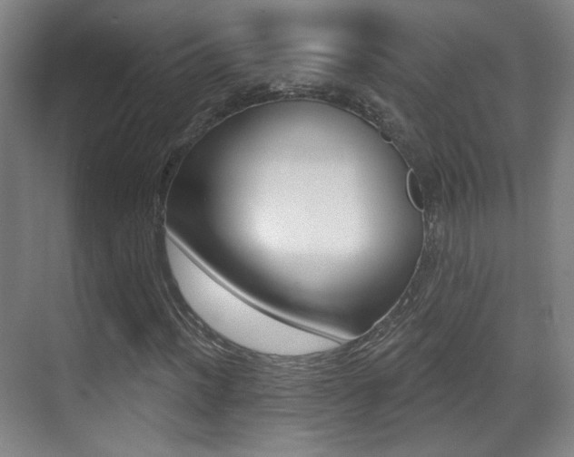 X0000070401012200606090924