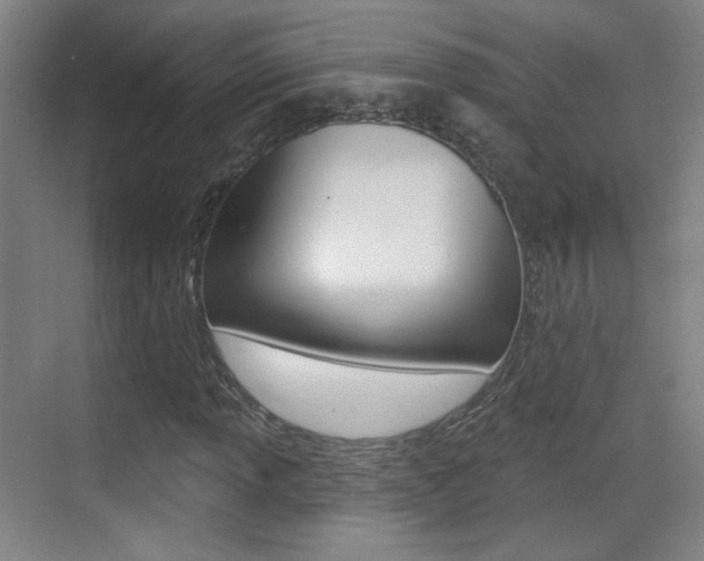 X0000070401013200606090924