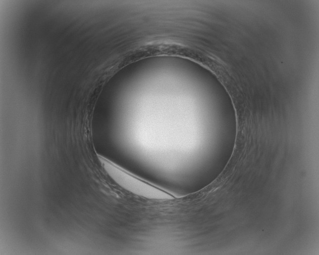 X0000070401014200606090924