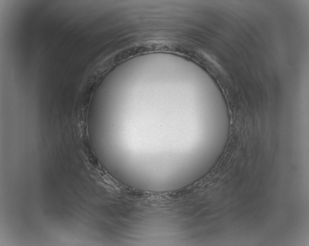 X0000070401015200606090924