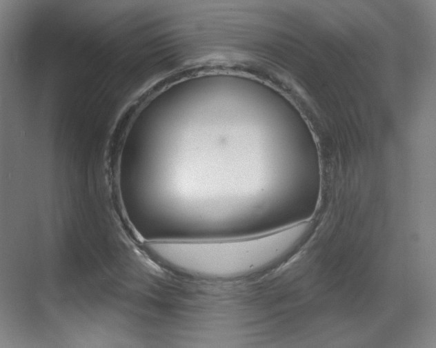 X0000070401018200606090924