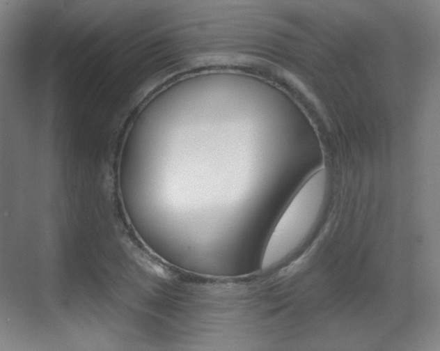 X0000070401025200606090924