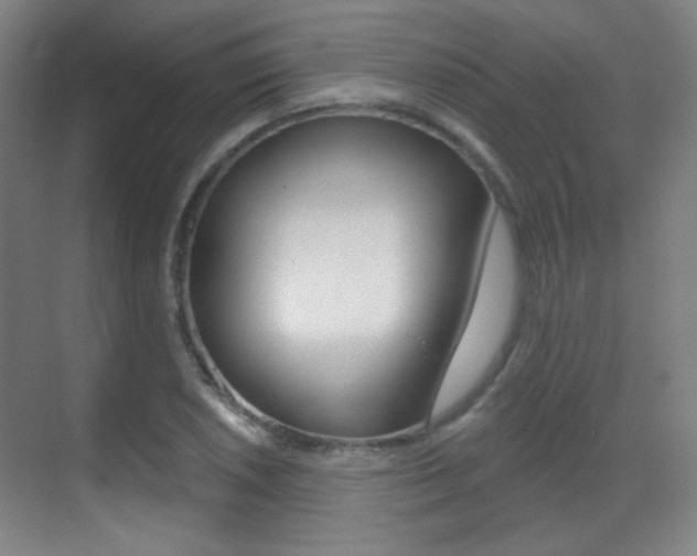X0000070401026200606090924