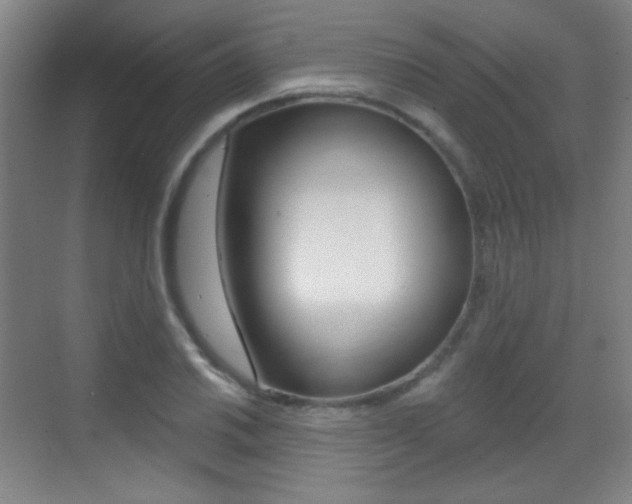 X0000070401030200606090924