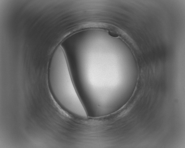 X0000070401033200606090924