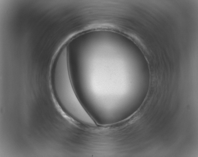 X0000070401038200606090924