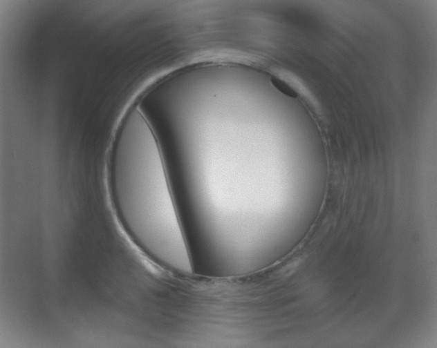 X0000070401040200606090924