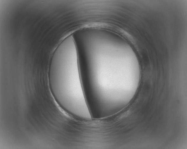 X0000070401041200606090924