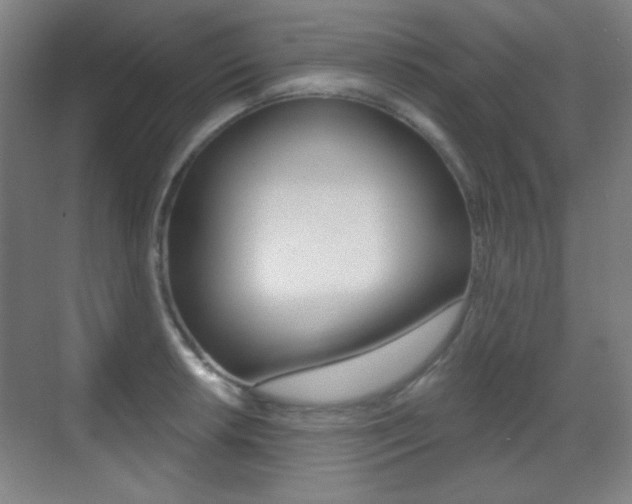 X0000070401042200606090924