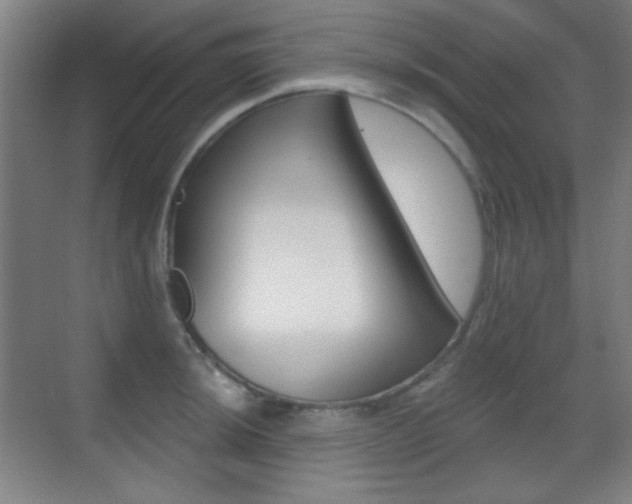 X0000070401044200606090924