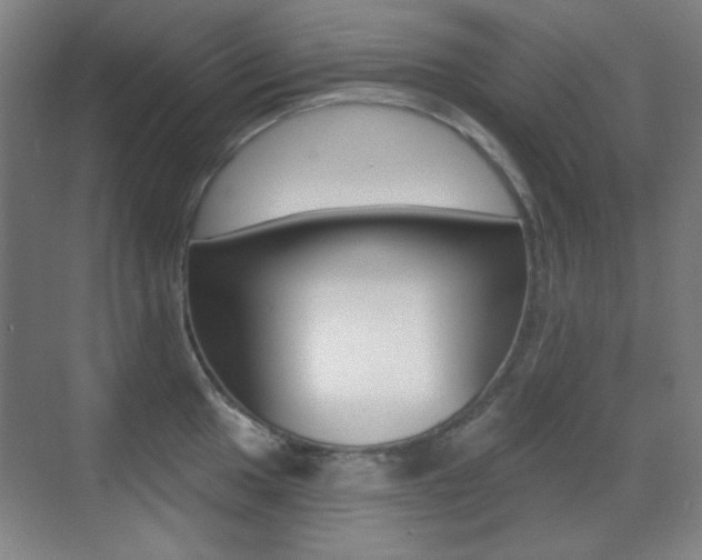 X0000070401049200606090924