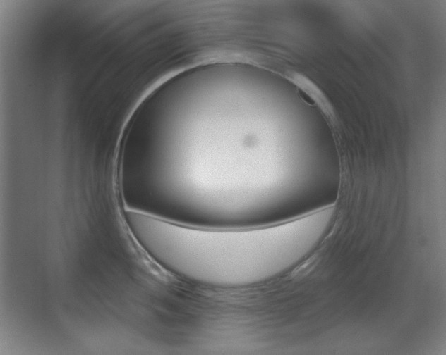 X0000070401052200606090925