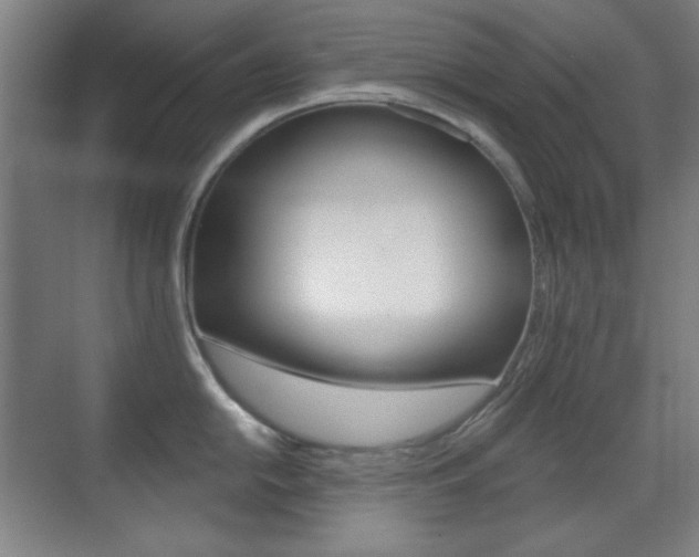 X0000070401054200606090925