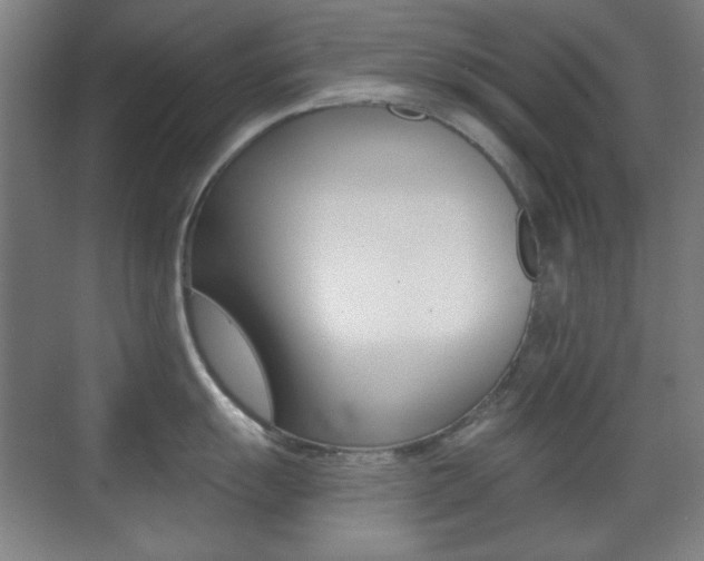 X0000070401055200606090925
