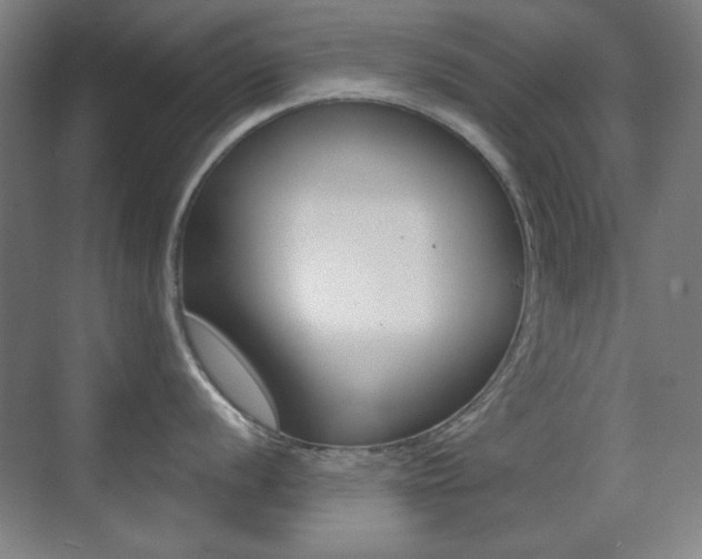 X0000070401056200606090925