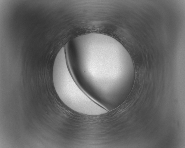 X0000070401058200606090924