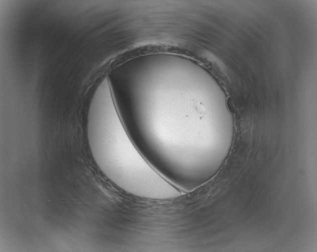 X0000070401064200606090924
