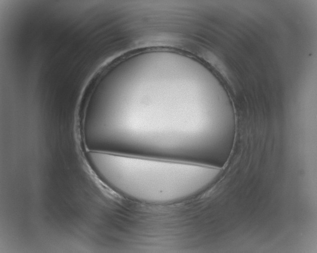 X0000070401072200606090924