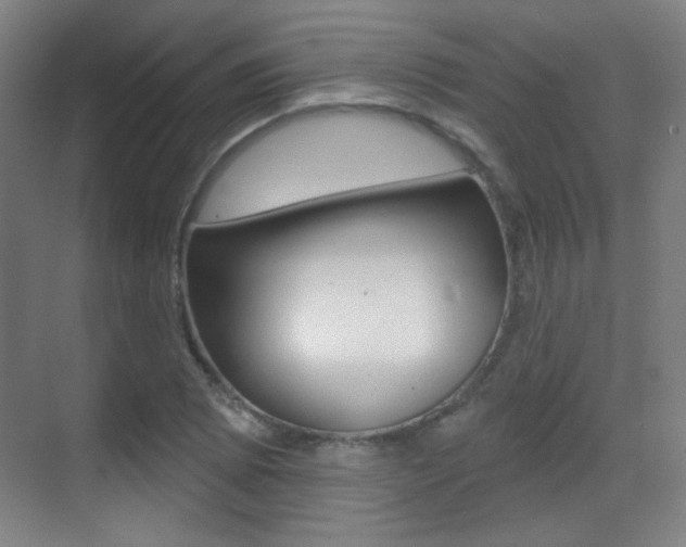X0000070401073200606090924